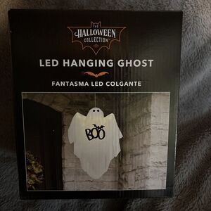 Halloween Indoor Outdoor Decoration LED Hanging Ghost Light Up BOO Party Decor